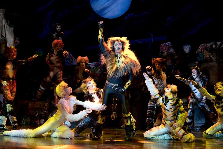 Deutsches Theater München: Cats - das Musical vom 01.06.-26.06.2022 (©Foto: Allesandro Pinna